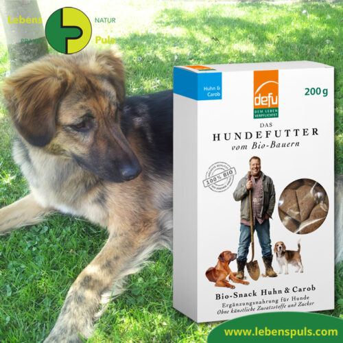 Defu Felderzeugnisse Bio Hundefutter Snack Huhn und Carob