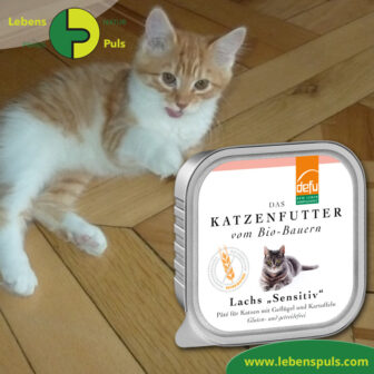 defu bio katzenfutter nassfutter lachs 100g