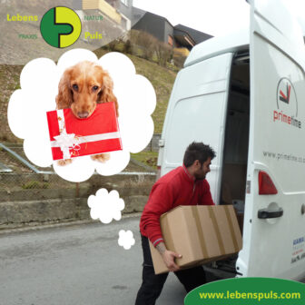 Abo Premium Hundefutter BIO Nassfutter Defu