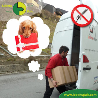 Abo Premium Hundefutter BIO Nassfutter Defu getreidefrei