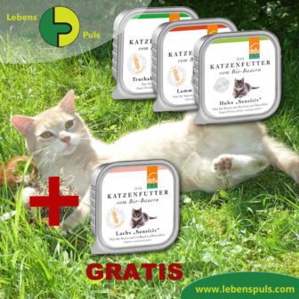 Defu Felderzeugnisse Bio Katzen Nassfutter 4 Sorten Aktion
