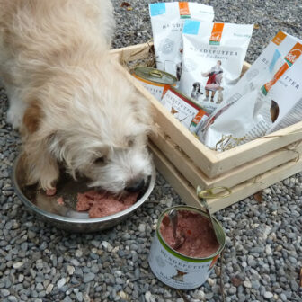 Hunde Nassfutter