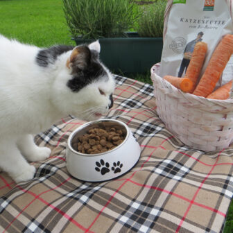 Katzen Trockenfutter