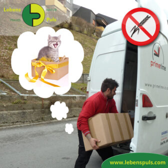 Abo Premium Katzenfutter BIO Nassfutter Defu getreidefrei