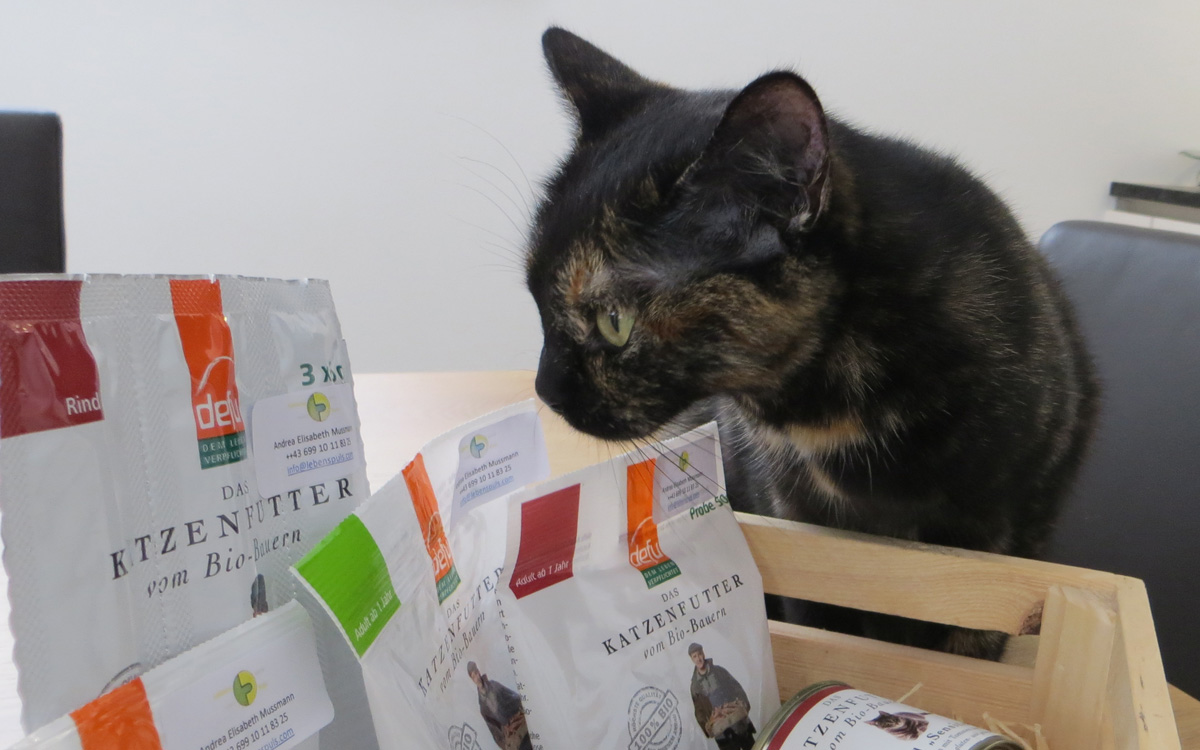 BIO Katzenfutter von Defu, Katze Nala beschnuppert das Futter