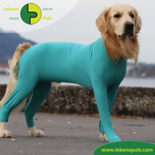 VetMedCare Tierbedarf dog + cat body Body mit 4 Beinen Hund Rüde 1