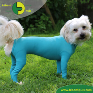 VetMedCare Tierbedarf dog + cat Body mit 4 Beinen Hund Huendin 1
