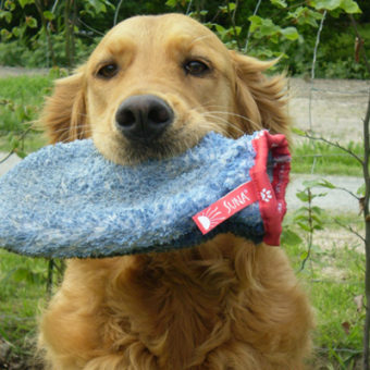 VetMedCare Tierbedarf Fellpflege Handschuh von Hund gezeigt