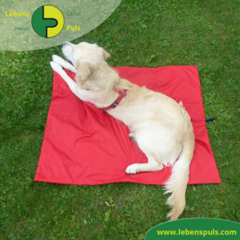 VetMedCare Tierbedarf Animal Pad 1