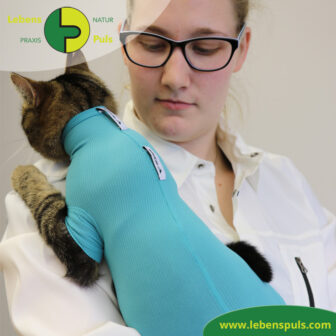 VetMedCare Tierbedarf Cat Body 2