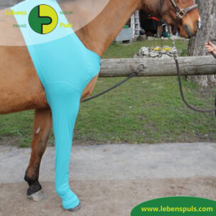 VetMedCare Tierbedarf Pferde Beinschutz, Vorderbein, Wundschutz für Pferde