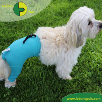 VetMedCare Tierbedarf dog Safety Pants Hund Sicherheitshose, Hundewindel, Inkontinenz, Läufigkeit, Wunden schützen, Farbe grün blau