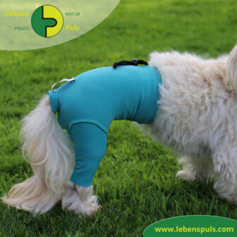 VetMedCare Tierbedarf dog Safety Pants Hund Sicherheitshose, Hundewindel, Inkontinenz, Läufigkeit, Wunden schützen, Farbe grün blau