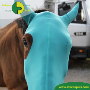 VetMedCare Tierbedarf Pferde Kopfmaske ohne Augenausschnitt, Wundschutz für Pferde