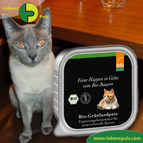 Defu Felderzeugnisse Bio Katzen Nassfutter Feine Happen in Gelee Gruenland Pute