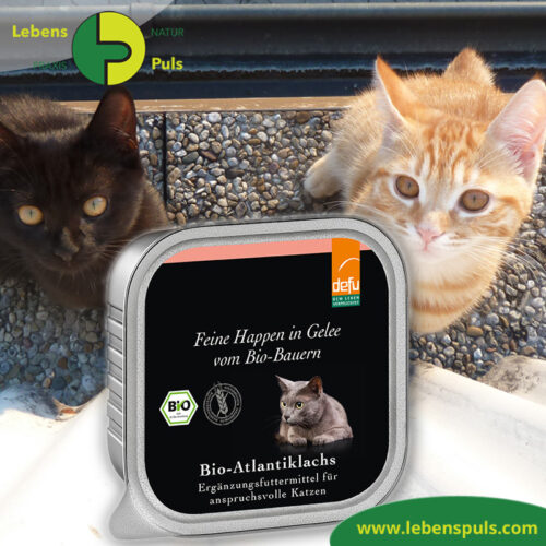 Defu Felderzeugnisse Bio Katzen Nassfutter Feine Happen in Gelee Atlantik Lachs