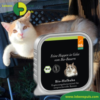 Defu Felderzeugnisse Bio Katzen Nassfutter Feine Happen in Gelee Hof Huhn