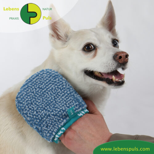 VetMedCare Tierbedarf Hund Katze Pferd Fellpflegehandschuh klein