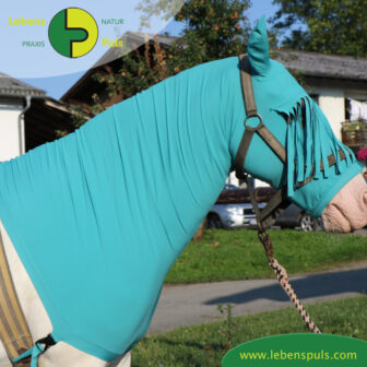 VetMedCare Tierbedarf Pferde Haube mit Stirnfransen, Insektenschutz und Wundschutz für Pferde