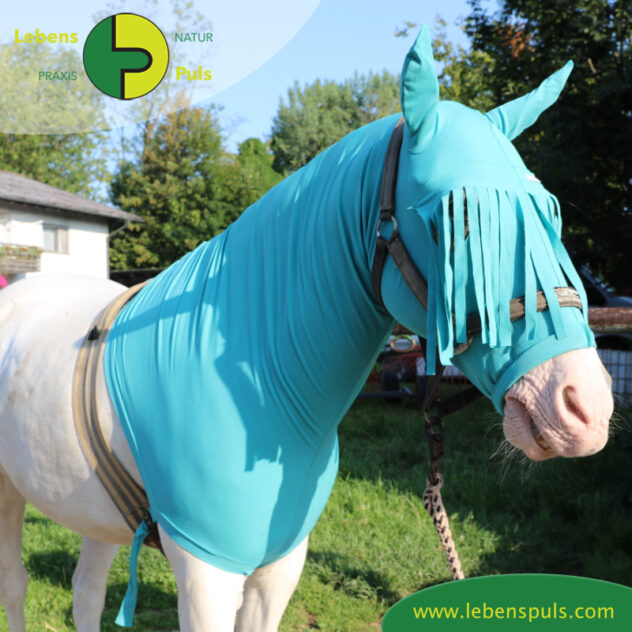 VetMedCare Tierbedarf Pferde Haube mit Stirnfransen, Insektenschutz und Wundschutz für Pferde
