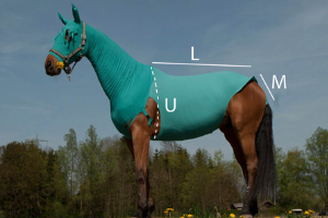 VetMedCare Tierbedarf Pferde Body Größentabelle