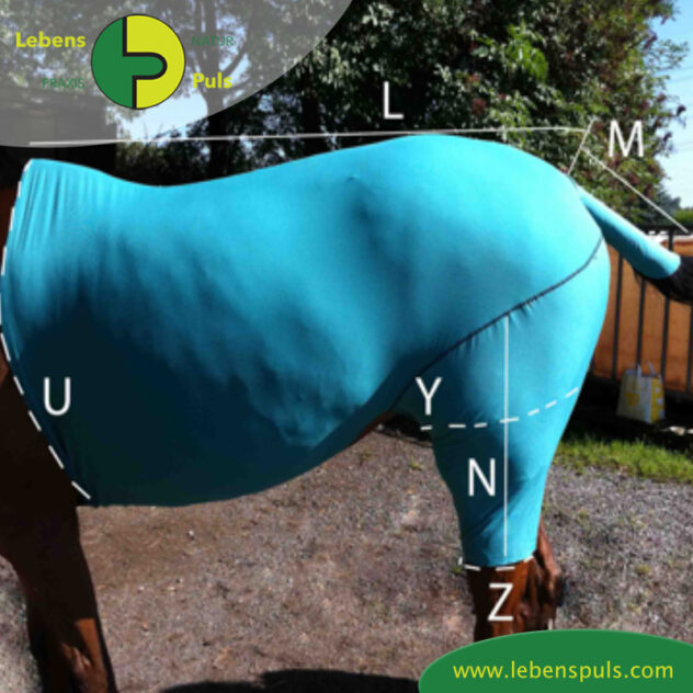 VetMedCare Tierbedarf Pferde Body mit kurzen Hinterbeinen, Wundschutz für Pferde