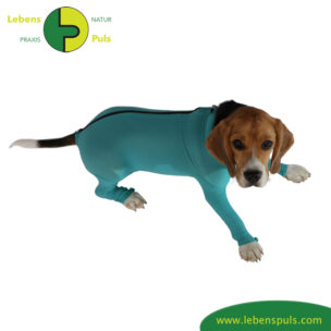 dog + cat body | Ganzkörperbody mit 4 Beinen und Reißverschluss | Zipper | Wunden schützen