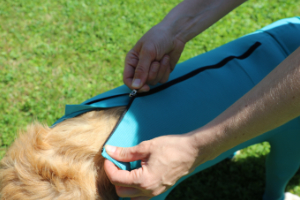 VetMedCare Tierbedarf Dog and Cat Body mit 4 Beinen und Zipper greenblue anziehen4