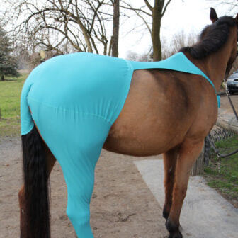 Pferde Wund/Fliegen-Schutz