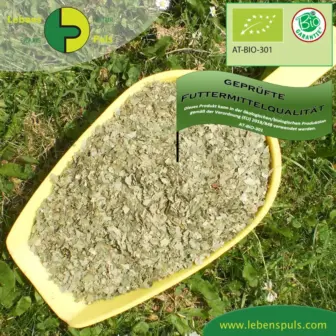 Einzelfuttermittel Natürlich Pferd BIO Birkenblätter blutreinigend harntreibend