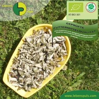 Einzelfuttermittel Natürlich Pferd BIO Himbeerblätter blutreinigend schwerzstillend entzündungshemmend