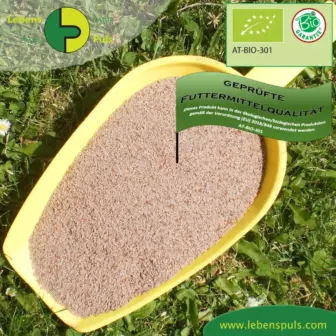 Einzelfuttermittel Natürlich Pferd BIO Flohsamen Präbiotikum Darmsanierung