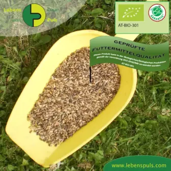 Einzelfuttermittel Natürlich Pferd BIO Mariendistel Samen entgiftend reinigend Leber regenerierend