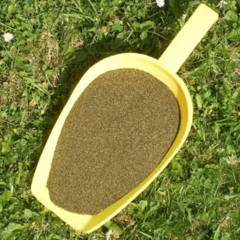 Einzelfuttermittel Natürlich Pferd BIO Seealgen Algenmehl Verdauung Fellwechsel Futterverwertung Mineralstoffversorgung