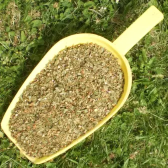 Einzelfuttermittel Natürlich Pferd BIO Kräuter Weißdorn Weissdorn Blätter mit Blüten geschnitten