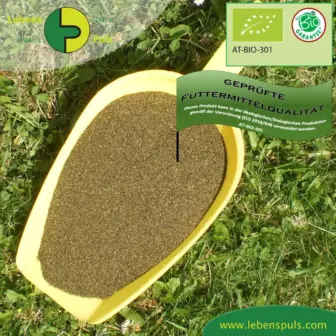 Einzelfuttermittel Natürlich Pferd BIO Seealgen Algenmehl Verdauung Fellwechsel Futterverwertung Mineralstoffversorgung