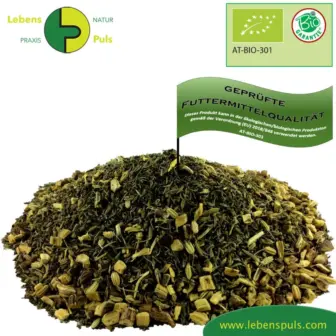 Ergänzungsfuttermittel Natürlich Pferd BIO Atem Fit