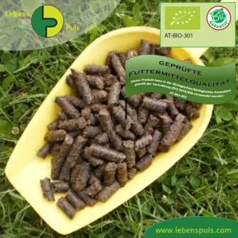 Einzelfuttermittel Natürlich Pferd BIO Mariendistel Presskuchen Leber entgiften schützen