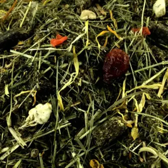 Ergänzungsfuttermittel Kräuterfutter Natürlich Pferd BIO Natur Pur Basis