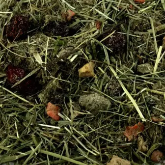 Ergänzungsfuttermittel Kräuterfutter Natürlich Pferd BIO Natur Pur prebiotisches Mash Verdauung