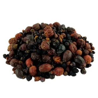 Ergänzungsfuttermittel Mikronährstoffe Antioxidantien Natürlich Pferd BIO Beeren Mix