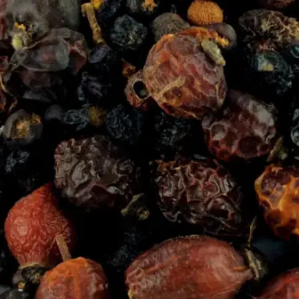 Ergänzungsfuttermittel Mikronährstoffe Antioxidantien Natürlich Pferd BIO Beeren Mix