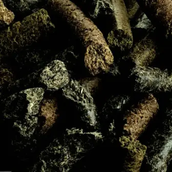 Ergänzungsfuttermittel Natürlich Pferd BIO Lecker Mix