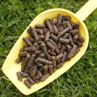 BIO Lein Presskuchen, Pellets | Presskuchen für Pferde | besonderes Futtermittel als Nahrungsergänzung 8 Einzelfuttermittel Natürlich Pferd BIO Lein Presskuchen Verdauung