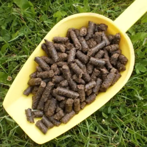 Einzelfuttermittel Natürlich Pferd BIO Lein Presskuchen Verdauung