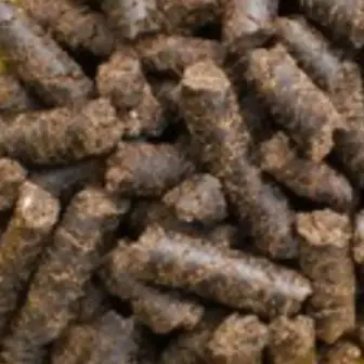 Einzelfuttermittel Natürlich Pferd BIO Lein Presskuchen Verdauung