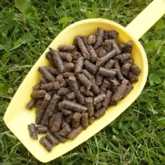 BIO Mariendistel Presskuchen, Pellets | Presskuchen für Pferde | besonderes Futtermittel als Nahrungsergänzung 8 Einzelfuttermittel Natürlich Pferd BIO Mariendistel Presskuchen Leber entgiften schützen