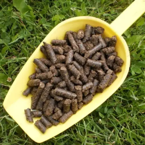 Einzelfuttermittel Natürlich Pferd BIO Mariendistel Presskuchen Leber entgiften schützen