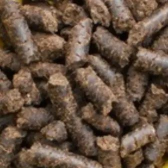 Einzelfuttermittel Natürlich Pferd BIO Mariendistel Presskuchen Leber entgiften schützen