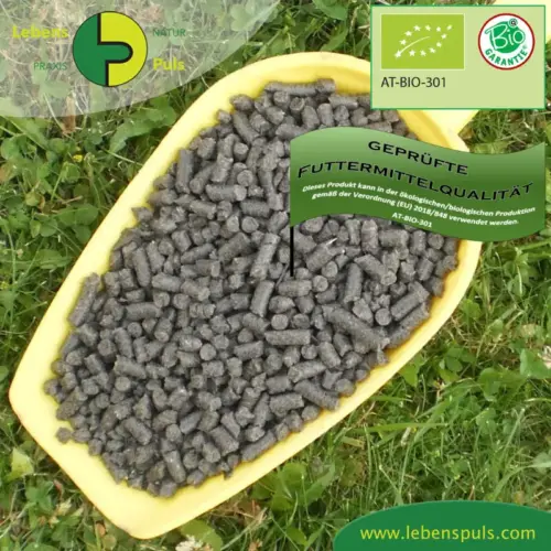 Einzelfuttermittel Natürlich Pferd BIO Sonnenblumen Presskuchen Verdauung Haut entzündungshemmend